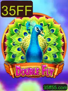 Descubra o Mundo Emocionante de DoubleFly: Um Jogo Dinâmico e Cativante